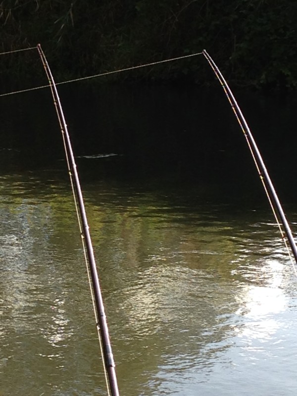 Rods on the Kennet